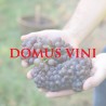 Domus Vini
